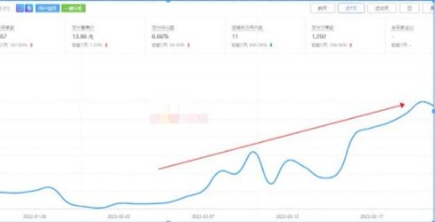 拼多多电商运营教学,拼多多医药店铺运营