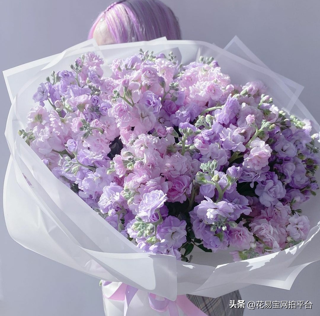 女神节快到了，哪些花材值得备货？内含优质卖家推荐！