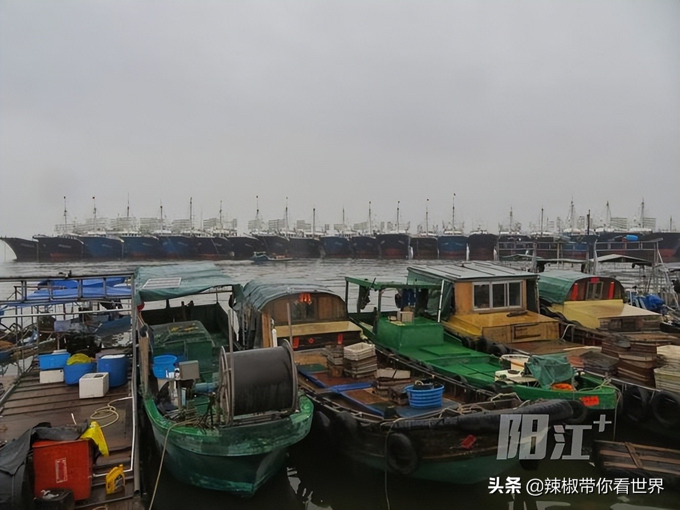 海岸线：邂逅*江阳**——感受这座慢节奏小城文化底蕴感悟人文之美