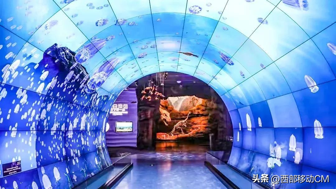 云南玉溪山水旅游景点推荐,澄江旅游攻略一日游最新