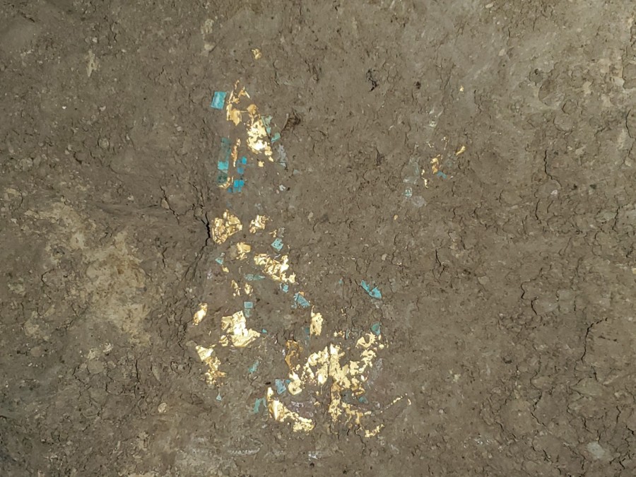 2022河南考古新发现丨郑州商城发现商文化首件“金泡”服饰