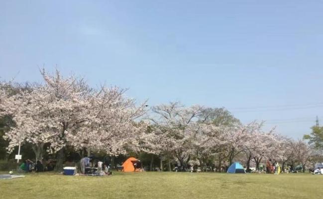 来日本打工3个月后悔回国,在日本打工3年终于回国