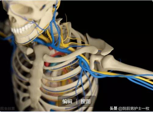 医生必备临床常用诊断口诀大全,针灸诊疗规范中适应症以及禁忌症