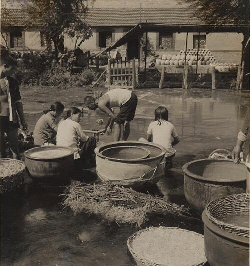 日军当着国军的面杀俘虏,日军侵华兽行