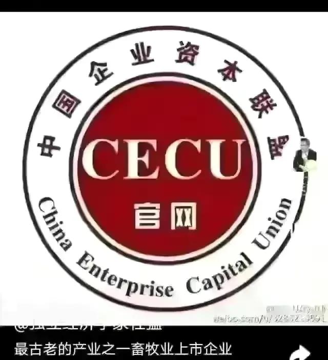 金融街杜猛视频,金融街电讯深度观察