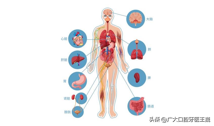 清晨起来嘴发苦是怎么回事,早晨起来嘴发苦怎么分辨是什么病