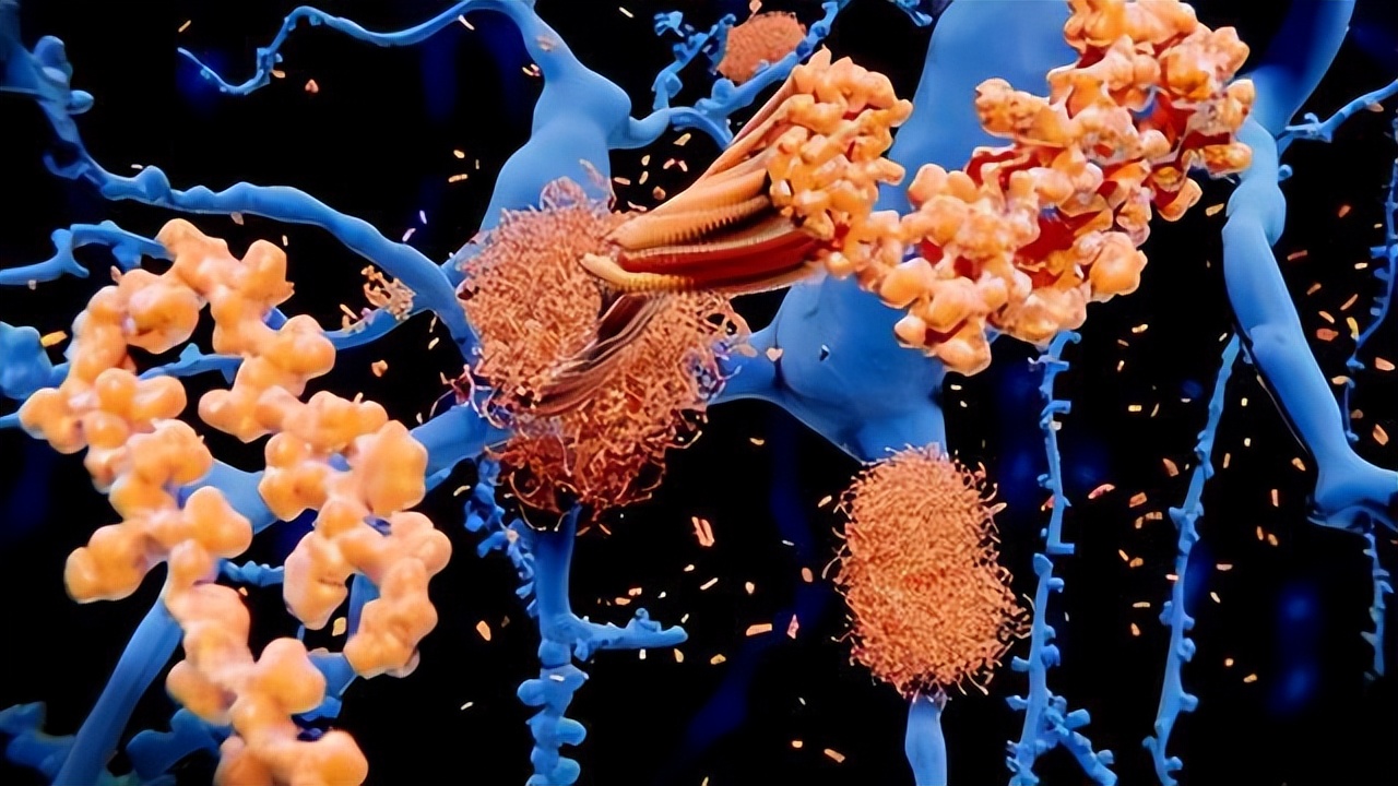 朊病毒防止人类自相残杀,致死率高达100%的病毒