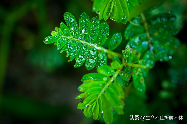 父母不知道自己的孩子多优秀,家人觉得自己孩子不成才