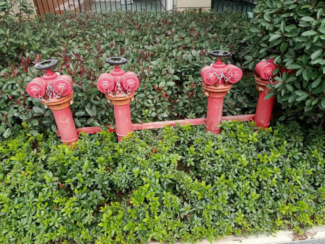 践行乐奥服务力---红星中奥广场打造运动生活服务圈