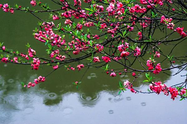 七绝春日二首原创,春日七绝诗十首