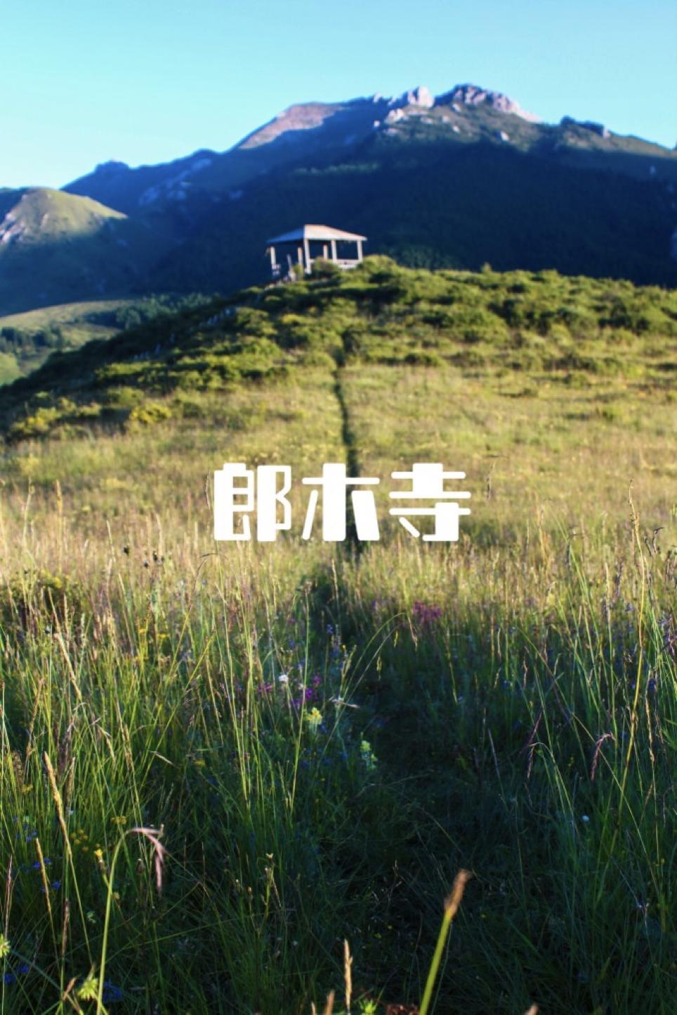 30岁辞职要不要换个活法,30岁辞职半年归来