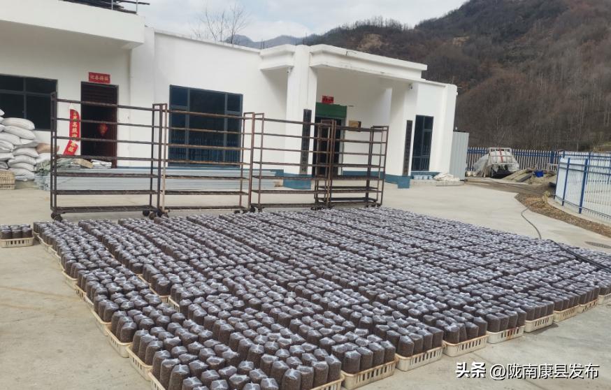 【身边榜样】(第4期)——三河坝镇县政协委员郭睿:乡村振兴路上的产业致富带头人