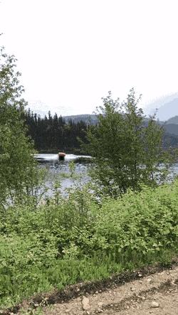 79个难得一见照片，飞机释放烟雾弹，逃票的女乘客，飞翔的蝙蝠