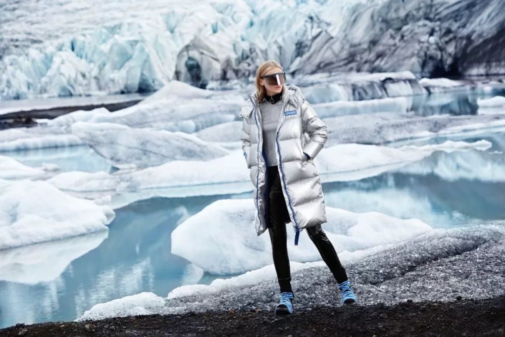 中国加拿大鹅销量,销量暴跌能否翻盘