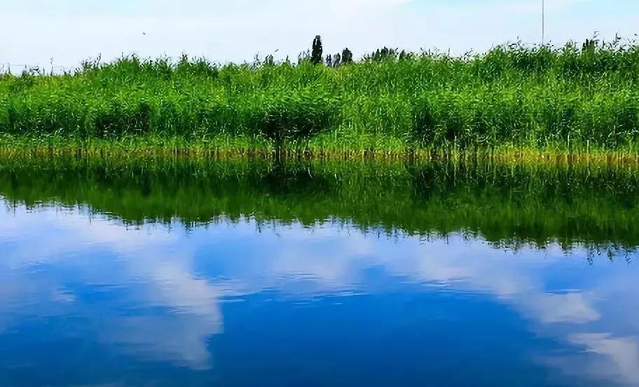 新疆玛纳斯湿地迎来候鸟迁徙,玛纳斯国家湿地公园迎候鸟