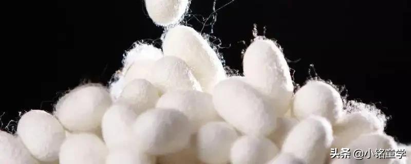 真丝桑蚕丝缺点,假桑蚕丝和正品桑蚕丝对比图