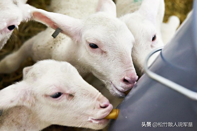 兵团战友再相聚话语,坚守在最后一线的人