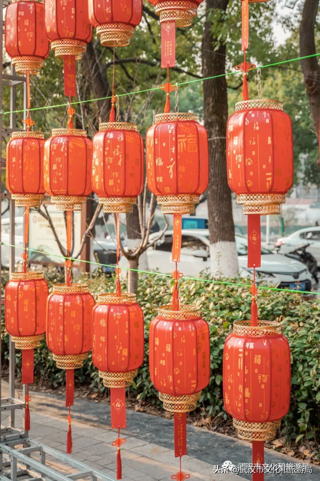 武汉人最新活动,武汉人元宵节