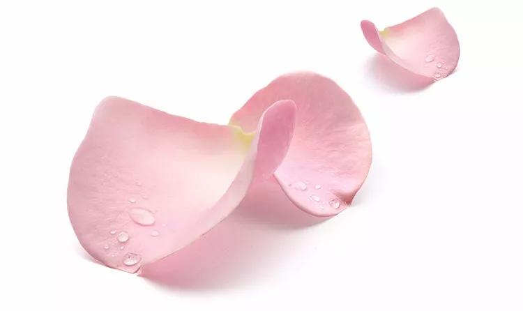 冷知识女生越大越喜欢粉红色,冷知识女孩子为什么爱生气