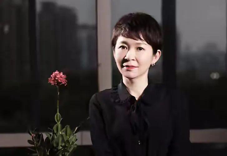 戴珊最开始在阿里做什么,戴珊在阿里工作履历