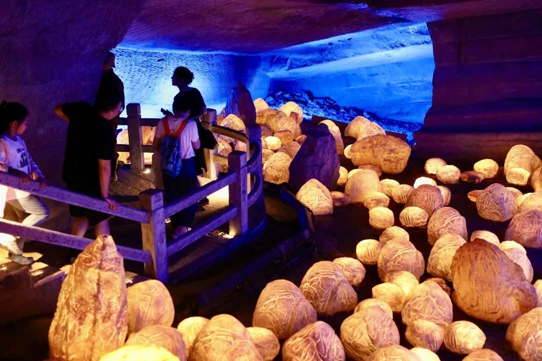 登山，观星，云海，日出，朗读会……跟着朗朗少年游学黄山