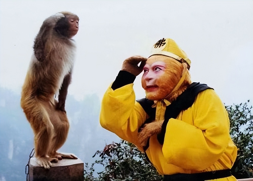 名和利,救不了六小龄童