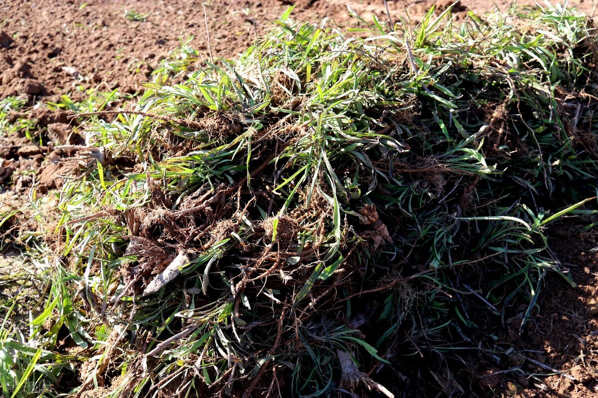 调理月经量少方子,月经不调有什么方子