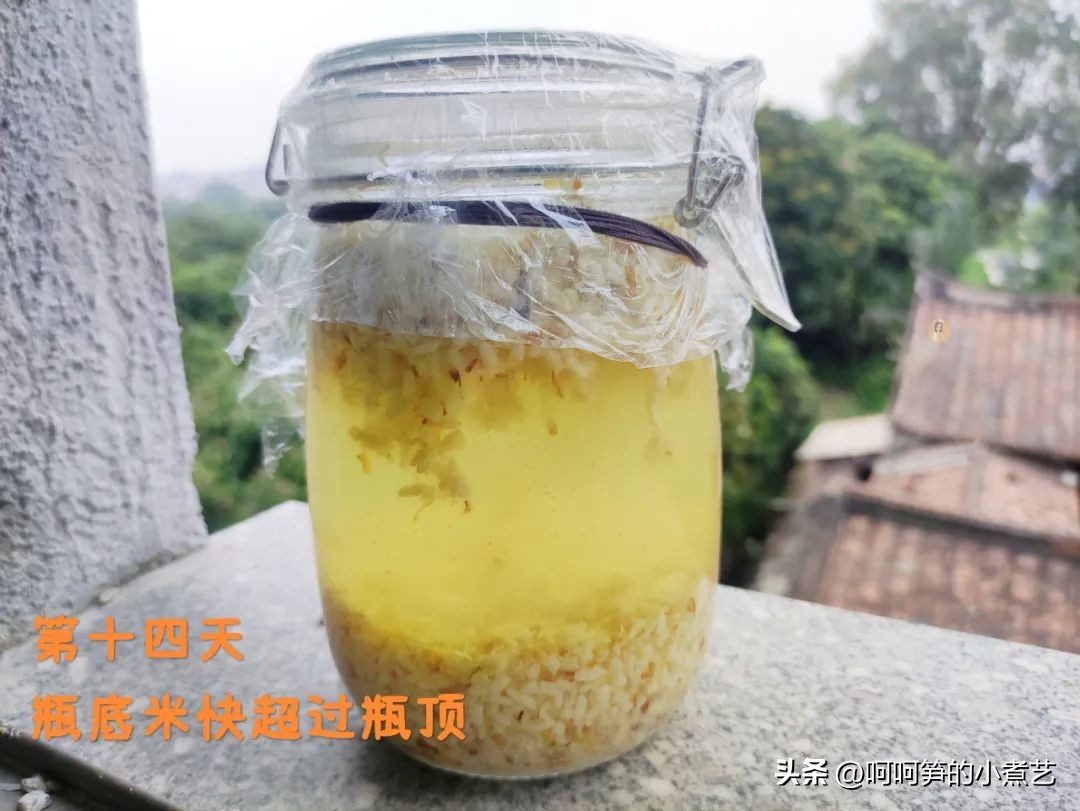 桂花米酒酒香浓郁,中秋桂花酒怎么酿得好