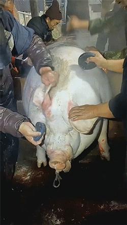 搞笑图片发烧,小女孩gif搞笑动态图片大全