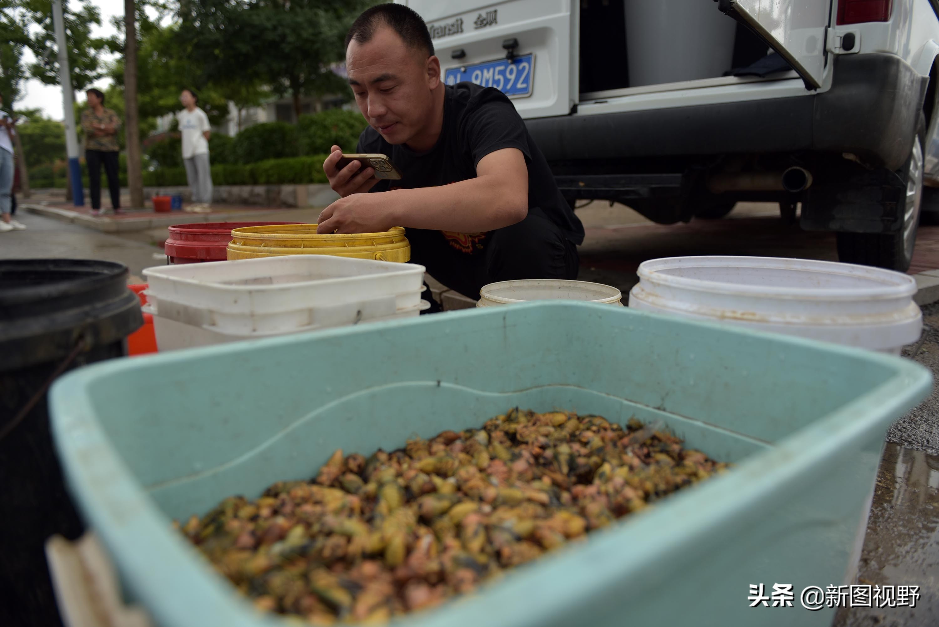 35岁青年网售金蝉爆单，有人一次买2000只，发快递忙得没时间吃饭