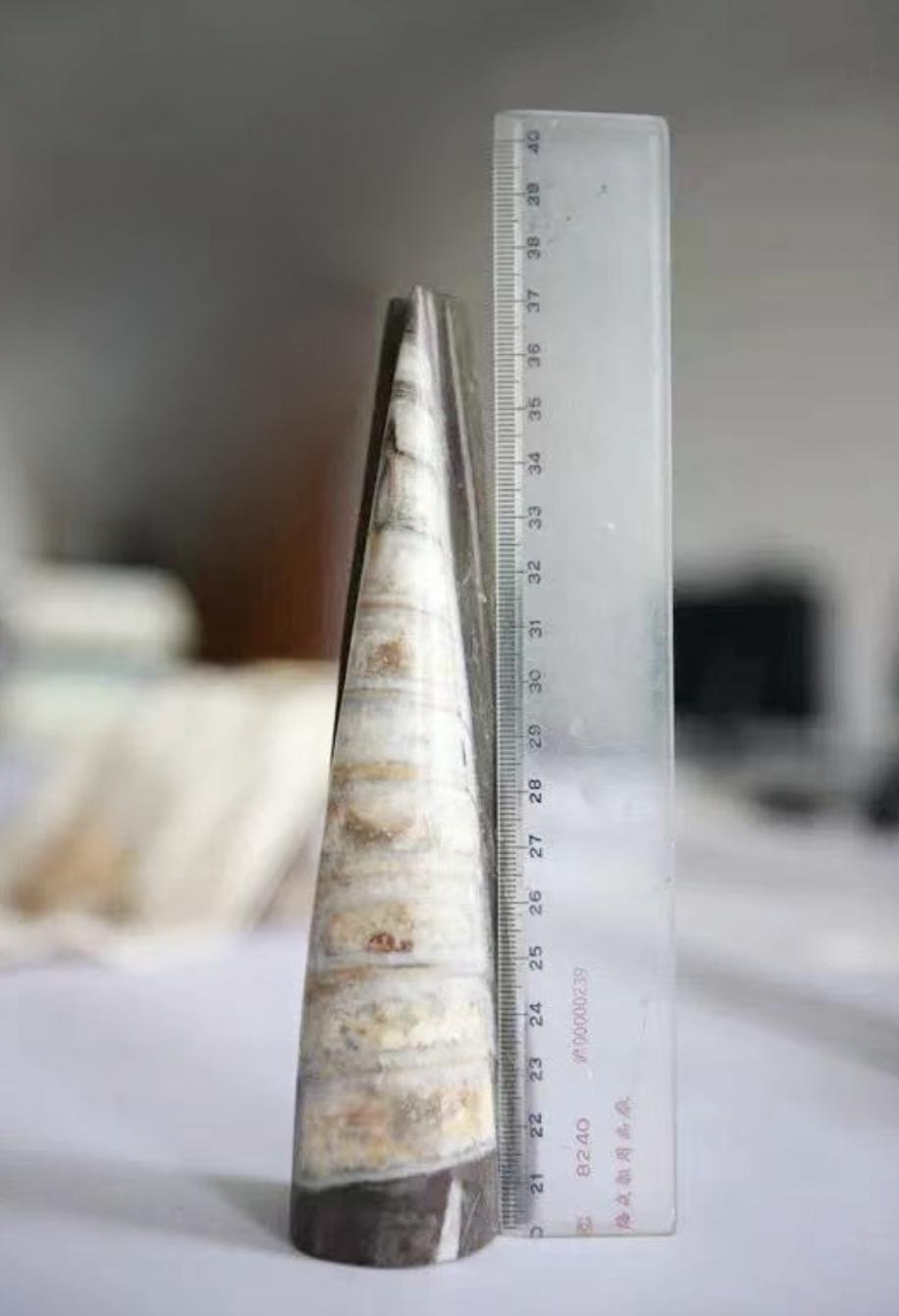 你车里的油和它们有关！探秘石化版“三星堆”宝藏