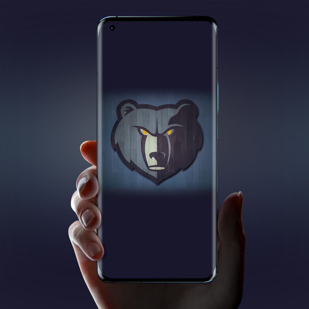 nba球队logo壁纸灰熊,nba球队logo贴纸