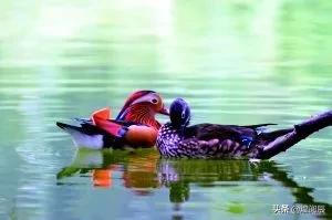 傻瓜你等了多久啊日语,你别让我等的太久