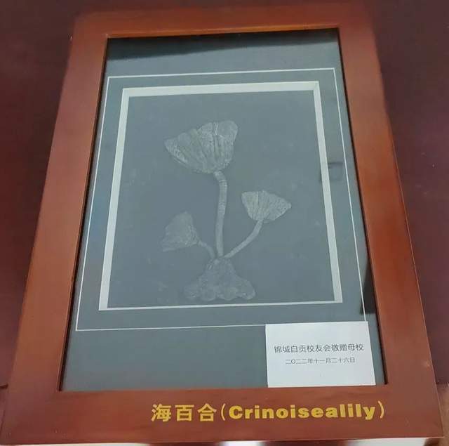 锦城学院校长王亚利,成都锦城学院校长是谁