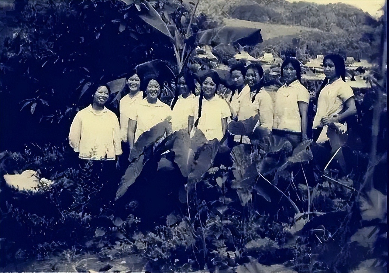 西双版纳上海女知青失踪之谜,西双版纳女知青失踪之谜