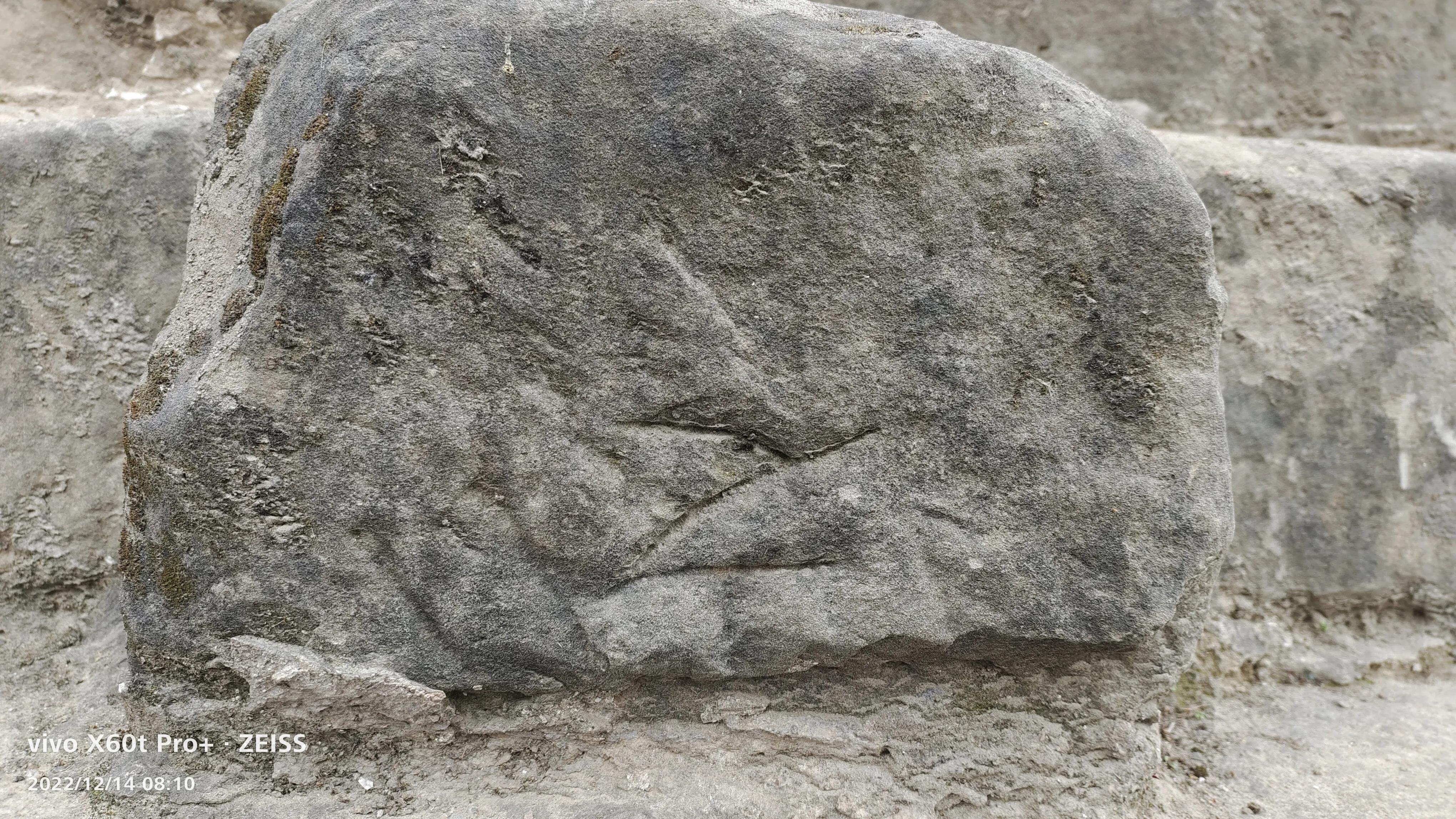 阆中鱼翅广场历史介绍,阆中鱼翅遗迹