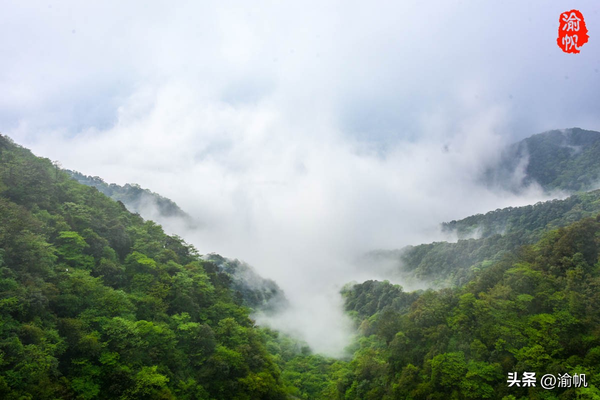重庆的热门风景好的山,重庆哪座山最适合看城区风景