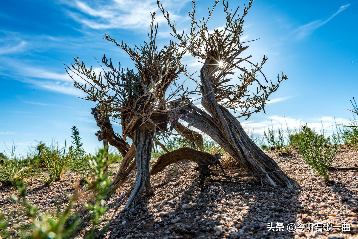 如何改变自己懦弱的方法,怎么改变自己的胆小懦弱