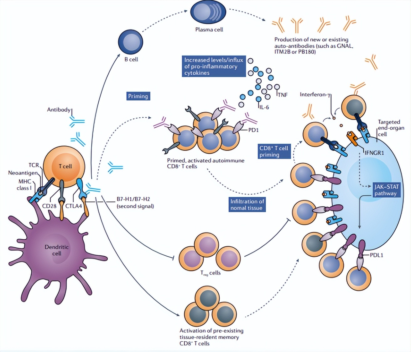 谢雯教授,谢雯长沙医学院