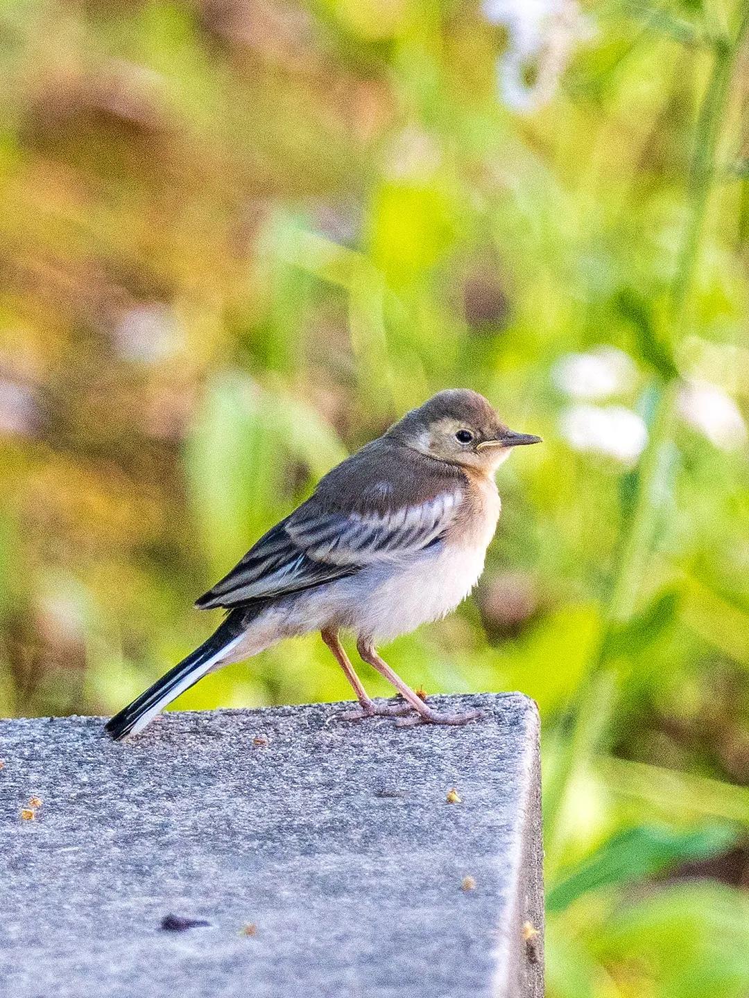 上海市嘉定区安亭国际汽车城,上海嘉定安亭国际汽车城