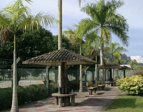 福隆港好吃美食推荐图片,马来西亚猪杂粥