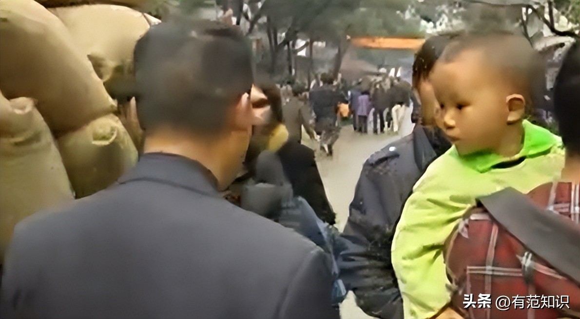 湖南小伙5000亩地养10只鸡,湖南小伙5000亩地只养十只鸡