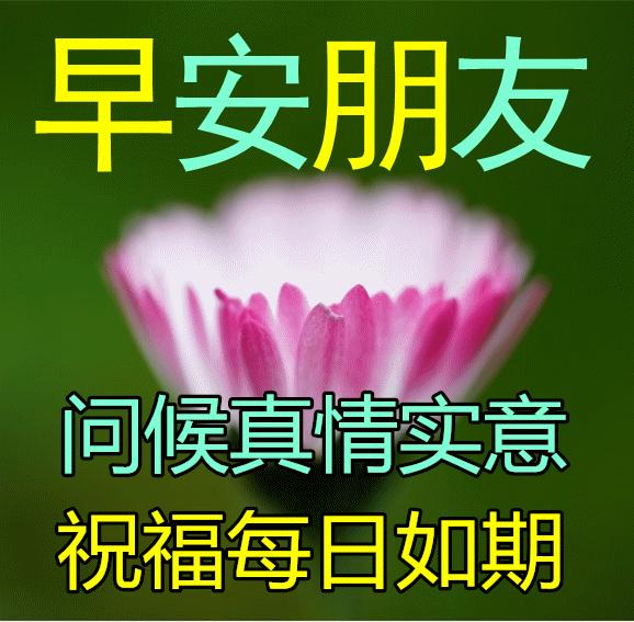 关于国家公祭日的励志短句,公祭日适合发的语录图片