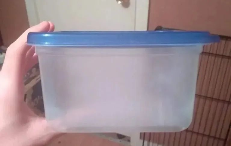 卡皮、隆背、疑似感冒...我的爬宠怎么了？