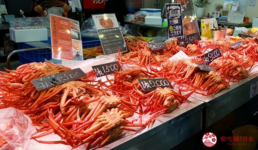 鸟取岛根景点推荐,鸟取沙丘风景区