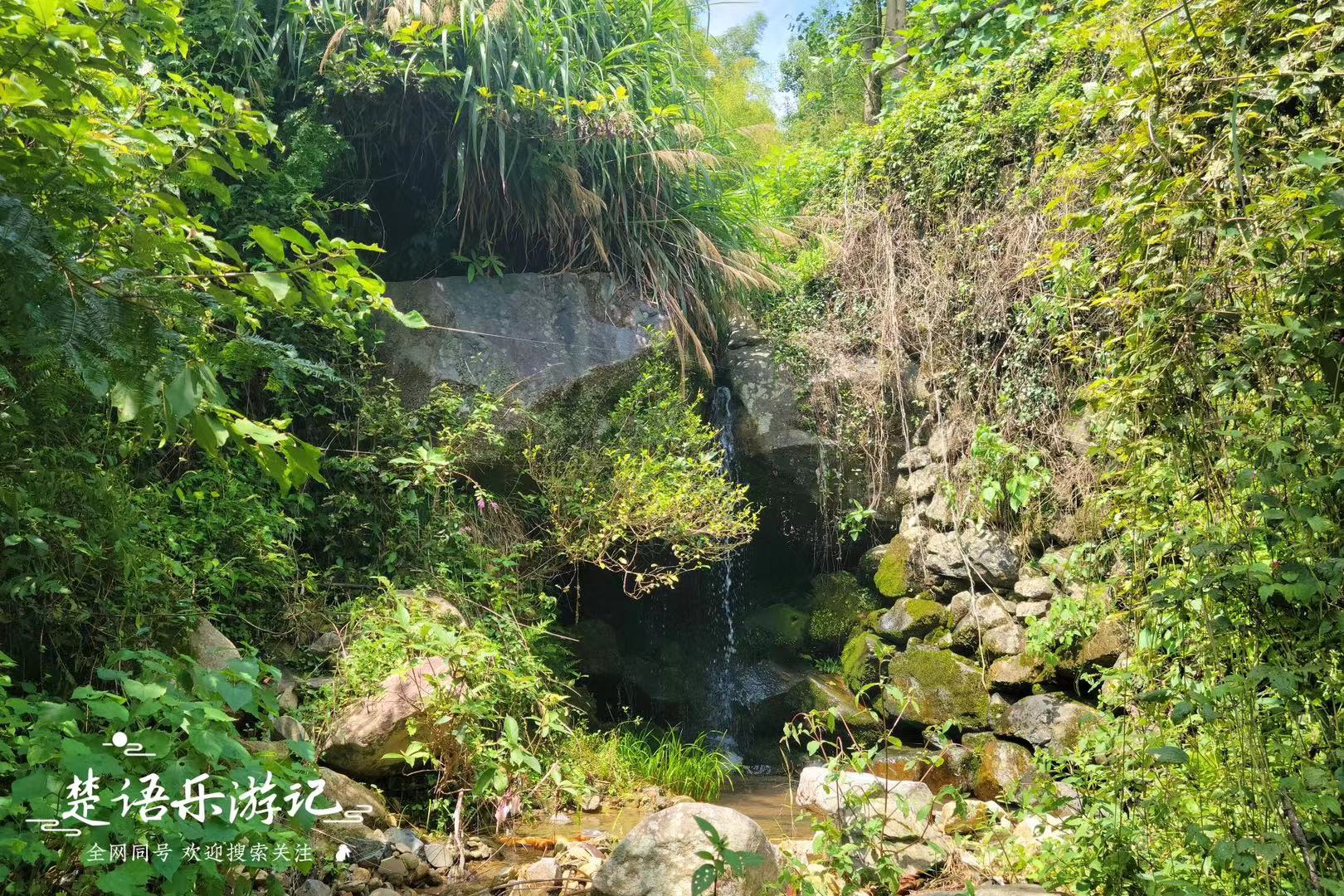 浙江隐藏最深的古村,浙江被遗忘的古村落