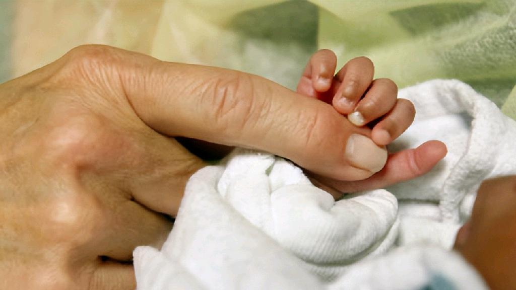 宝宝出生时的体重影响智商,宝宝出生的体重跟智商有关系吗