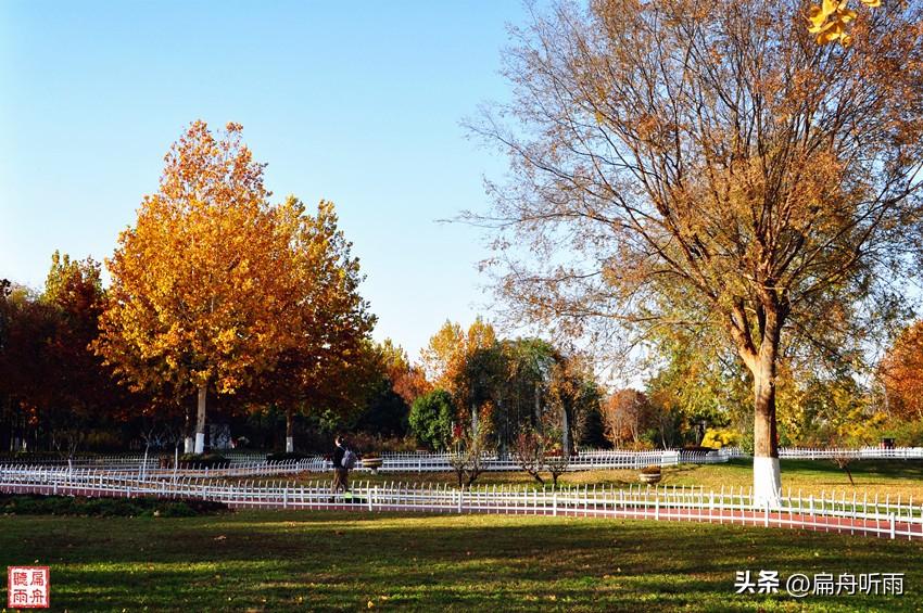 7月郑州凉快遛娃公园排行榜,郑州龙子湖避暑遛娃的地方