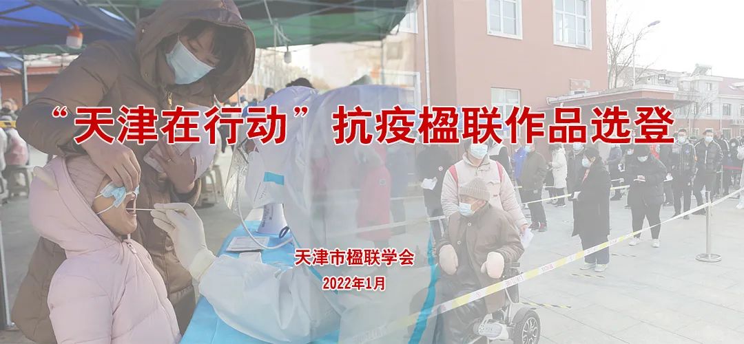 鎶楃柅璇楄瘝妤硅仈浣滃搧,鎶楃柅妤硅仈鎬绘眹