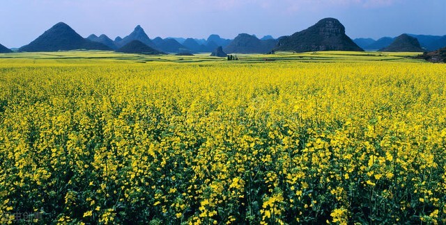 世界上最美的十个地方,全世界公认十大最美的十个城市